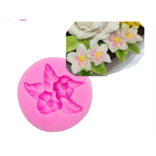 Khuôn silicon 4D hoa lá nhí đôi