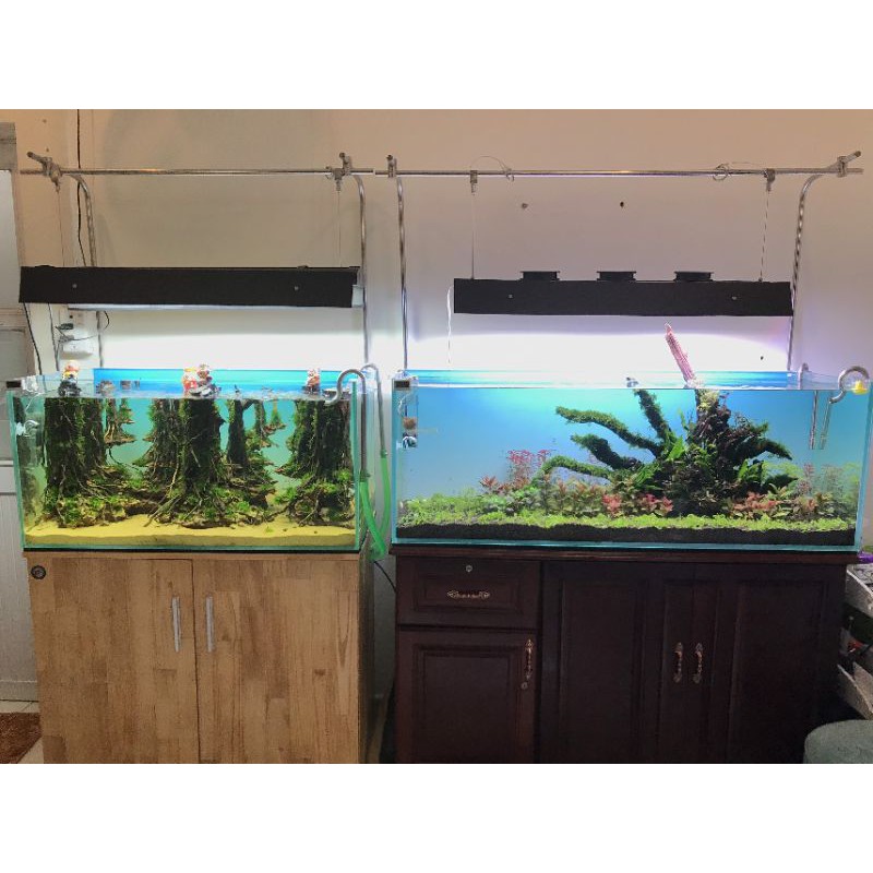 Giá treo đèn inox 304