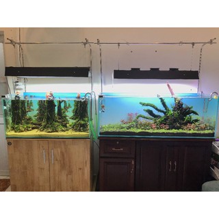 Giá treo đèn inox 304