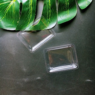 100 khay dứa 30g-50g