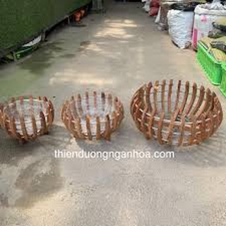 Chậu gỗ căm xe trồng lan mẫu chạu bí f40