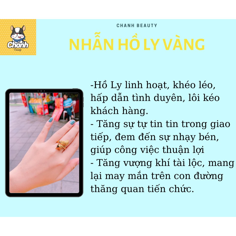 Nhẫn Hồ Ly Vàng