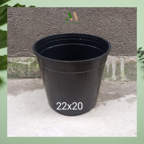 Chậu nhựa cứng tròn đen Thakico trồng cây trong nhà, kiểng lá, các loại hoa kiểng size 22x20 giá xưởng
