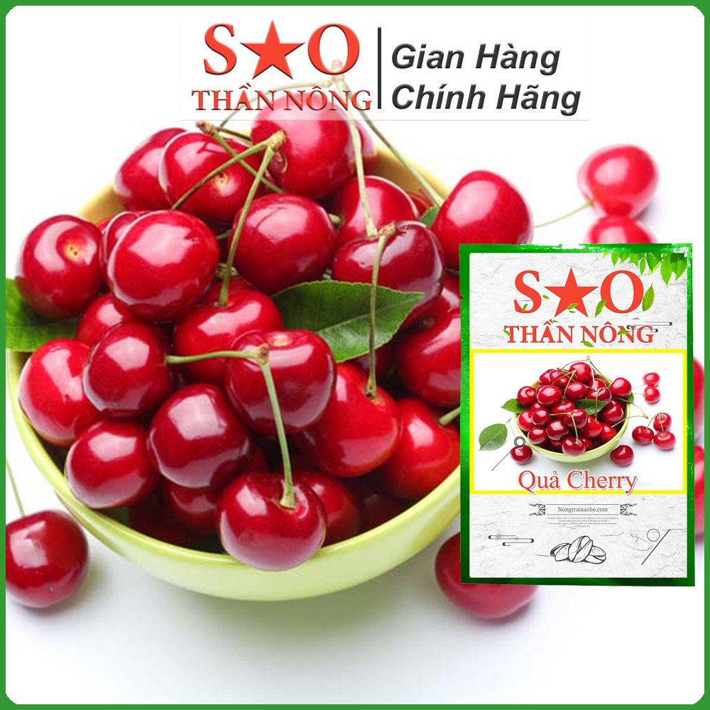 Hạt giống quả cherry Sao thần nông túi 10 hạt