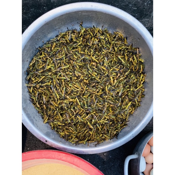 Cám Chào Mào Đấu BIRDFOODS Cường Phạm