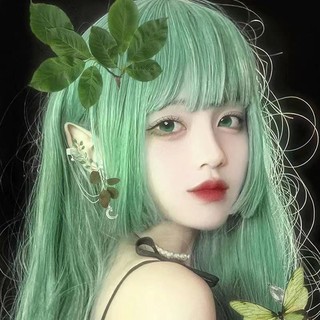 Bộ Tóc Giả Thẳng Dài Màu Đen Dành Cho Nữ