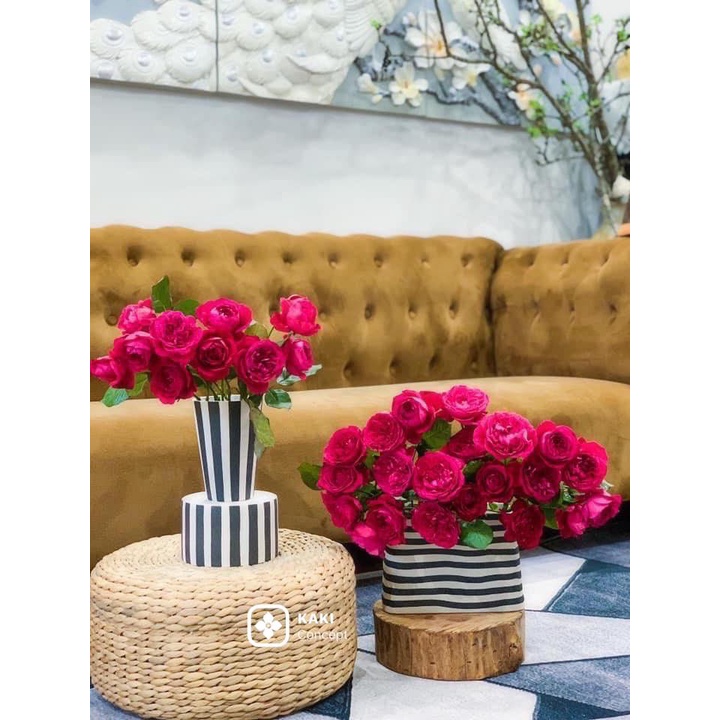 Chậu cây trồng sen đá, xương rồng - Chậu cây đẹp KAKI Concept