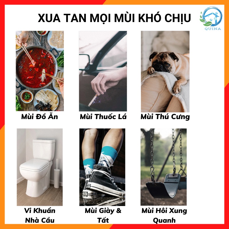 Tinh dầu thơm ô tô khuếch tán hương que gỗ chất liệu tự nhiên phát sáng trong đêm thơm phòng hương nhẹ nhàng Quina QN024