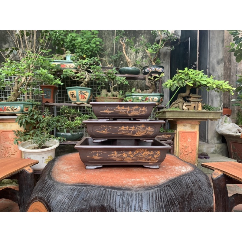 Chậu chữ nhật trồng cây bonsai ( có hỗ trợ vc cho khách => nhắn tin cho shop )