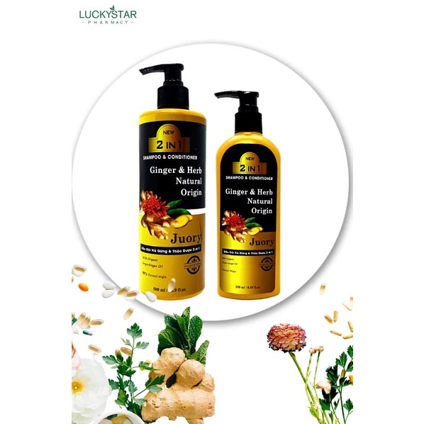 Dầu Gội Xả 2 IN 1 Gừng và Thảo Dược Lucky Star 500ml