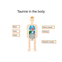 Dug dịch nhãn khoa Taustin Taurin Solopharm