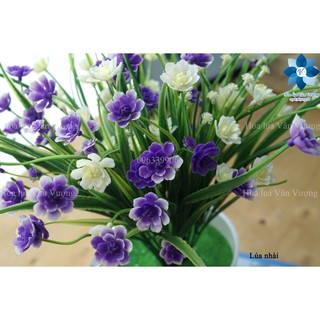 Hoa Giả Trang Trí 🌺FREESHIP🌺