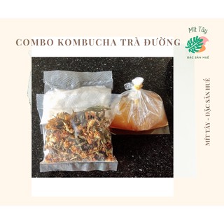 SET NẤM KOMBUCHA TRÀ ĐƯỜNG, NÂM THỦY SÂM SCOBY KOMBUCHA - MÍT TẤY