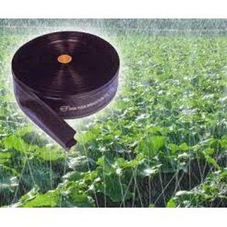 dây tưới phun mưa phi 34 cuộn 100m
