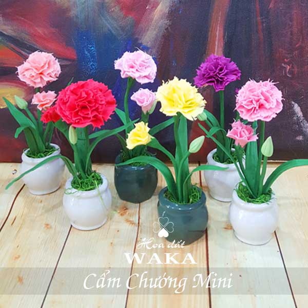 Hoa Đất Sét Mini - Cẩm Chướng Mini