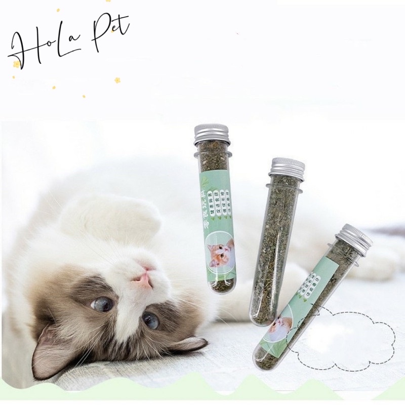 Cỏ Bạc Hà - cỏ mèo khô