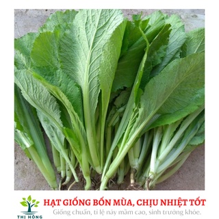 Hạt giống cải bẹ xanh mỡ 20g (lá to,vị ngọt, có mùi thơm)