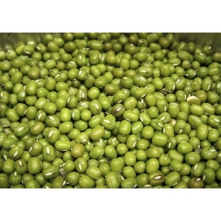 Đậu xanh hạt nguyên hàng chuẩn đẹp 1kg