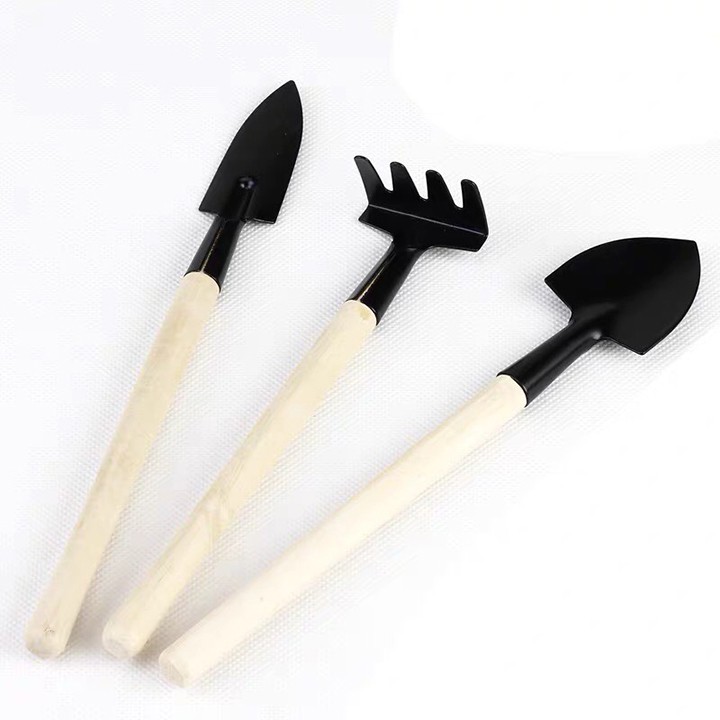 Bộ Dụng Cụ Làm Vườn Mini SET 3 món