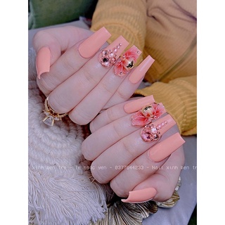 Hoa bột cúc nghiêng xoáy