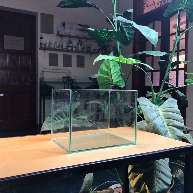 Bể cá mini D20xR15xC15cm dán dấu keo