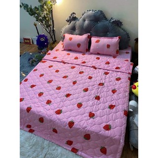 Chăn hè trần bông poly cotton ( được chọn mẫu)