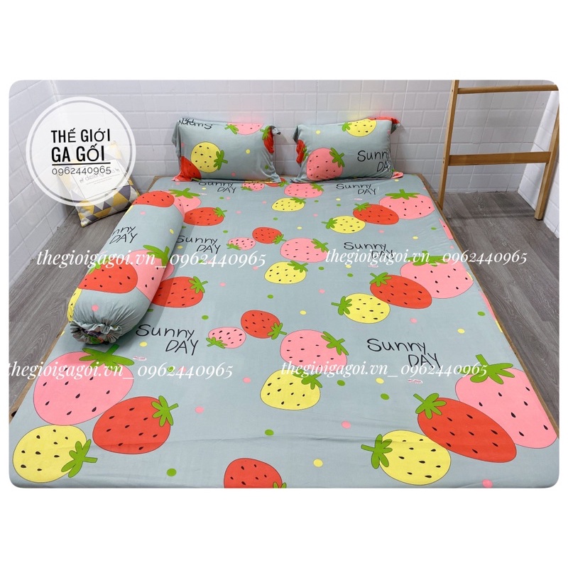 Bộ Drap Thun Lạnh Hàn Quốc 4 món