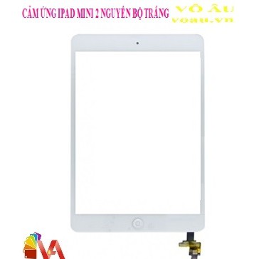 CẢM ỨNG IPAD MINI 2 NGUYÊN BỘ CÓ SOCKET MÀU TRẮNG, ZIN, ĐẸP, CHẤT LƯỢNG