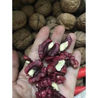 ÓC CHÓ NHÂN ĐỎ - (Đã bóc vỏ) (500gr)