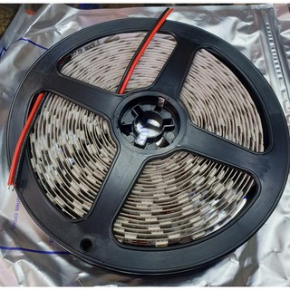 Đèn led dây dán 5m ĐỎ 12V mã 5050