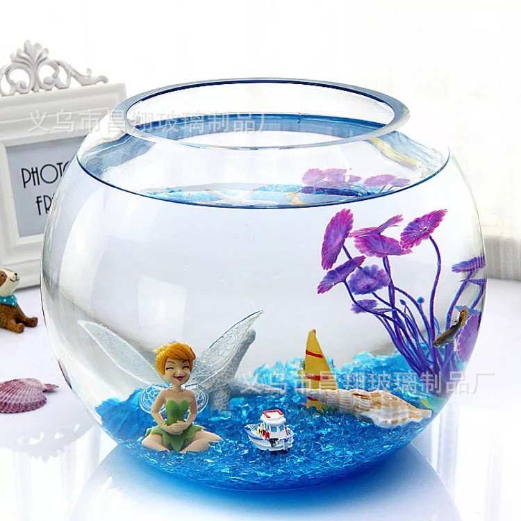 Bình Thủy Tinh tròn chuyên dùng trồng cây thủy sinh, bình nuôi cá để bàn