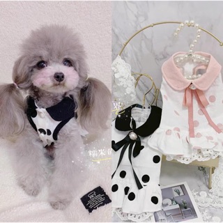 ĐẦM CHẤM BI DÀNH CHO CHÓ MÈO (có hình ảnh thật do shop chụp) [QUẦN ÁO THÚ CƯNG]