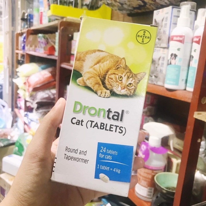 Thực phẩm hỗ trợ đường ruột cho mèo - sổ l ãi