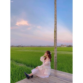 Áo Khoác len mỏng nhẹ siêu xinh ( ảnh thật )