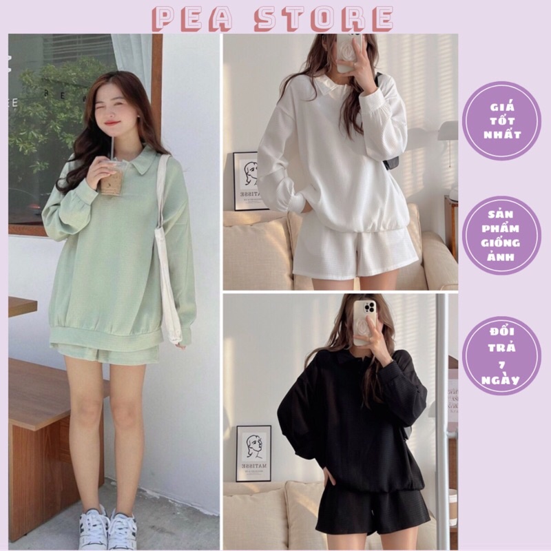 Set nỉ áo polo dài tay kèm quần thun oversize Pea Store - Set bộ tổ ong dáng rộng Oversize Hàn Quốc trơn (Ảnh thật)