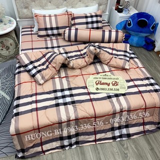 HOT💥HOT Chăn Phao Siêu Nhẹ Cotton Poly Mẫu Mới