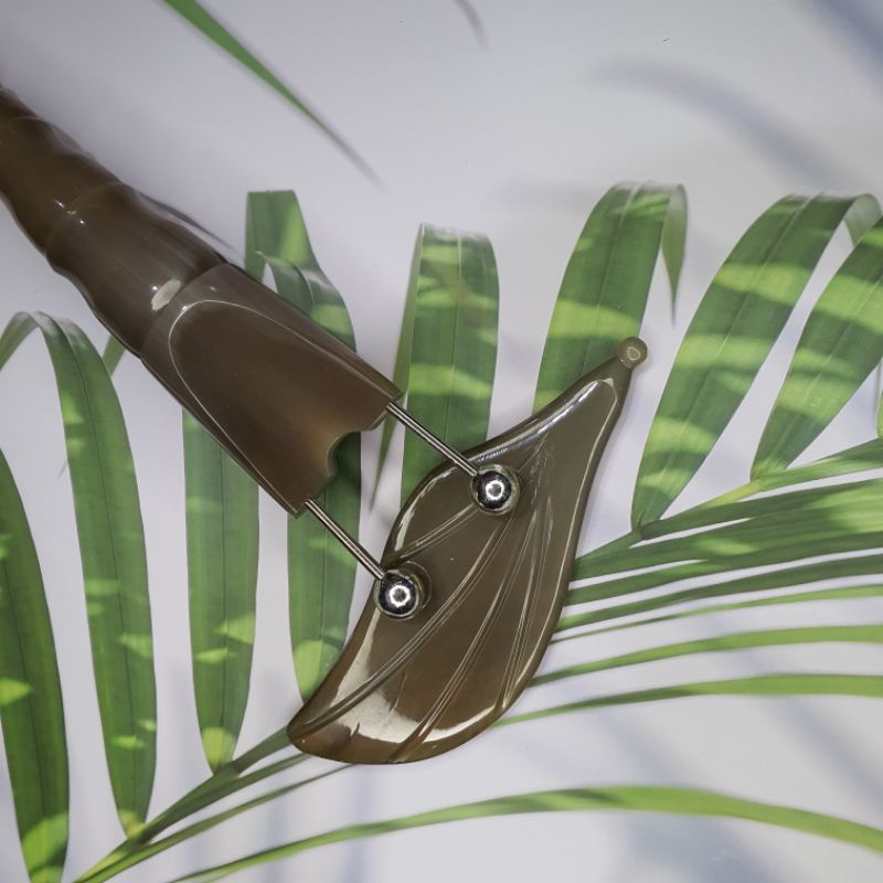 (HOT) Bọ cạp sừng trắng lớn đầu bạc ta nguyên chất 12 li diện chẩn