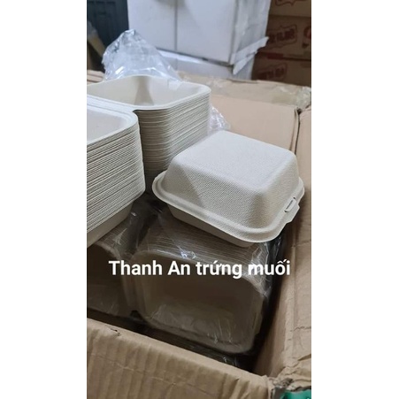 Set 10 hộp bento bã mía