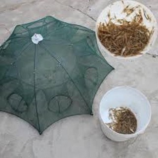 Lưới bắt cá bát quái bắt cá,tôm,cua( 8 cửa)