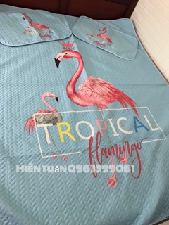 Chiếu điều hoà tencel