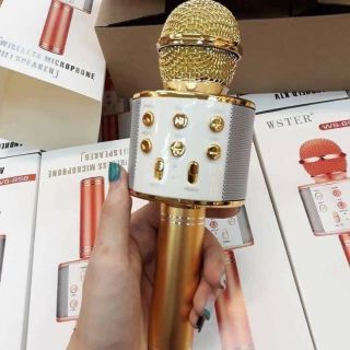 Mic karaoke