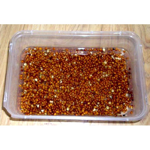 Kích Thích Ra Rễ , Nảy Mầm - Phân Bón Lá MEN 100gr