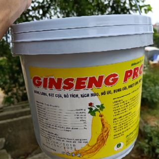 Thuốc thú y ginseng pro