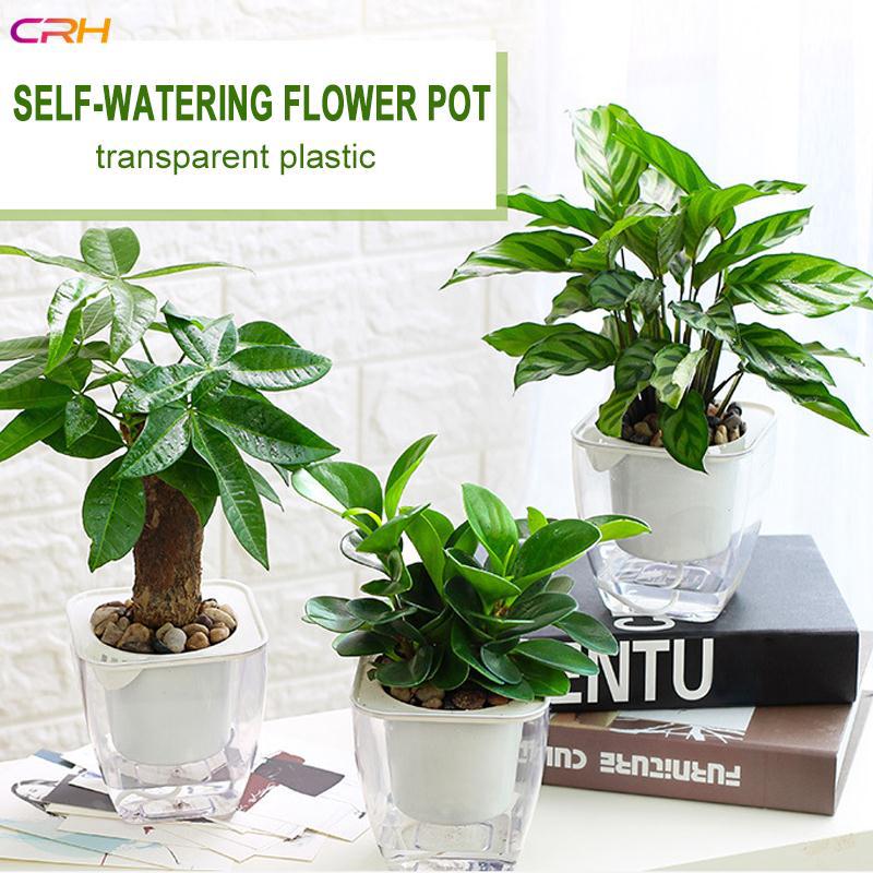 Mồi câu cá nhân tạo tự tưới nước