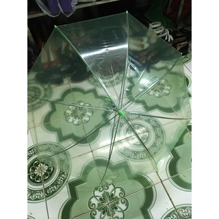 Ô trong suốt màu xanh lá cây