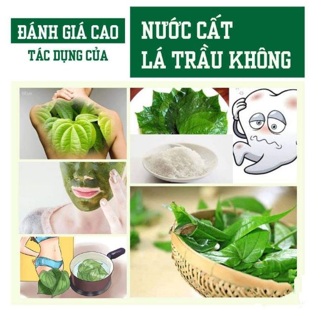 NƯỚC CẤT TRẦU KHÔNG NGUYÊN CHẤT SÁT KHUẨN KHỬ MÙI 100ml- PEOS