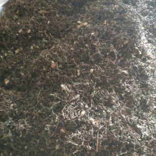 10KG TRÀ SƠN MẬT HỒNG SÂM SAPA