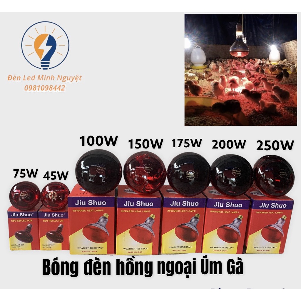 Bóng Đèn Hồng Ngoại Úm Gà, Sưởi Gia Súc, Gia Cầm