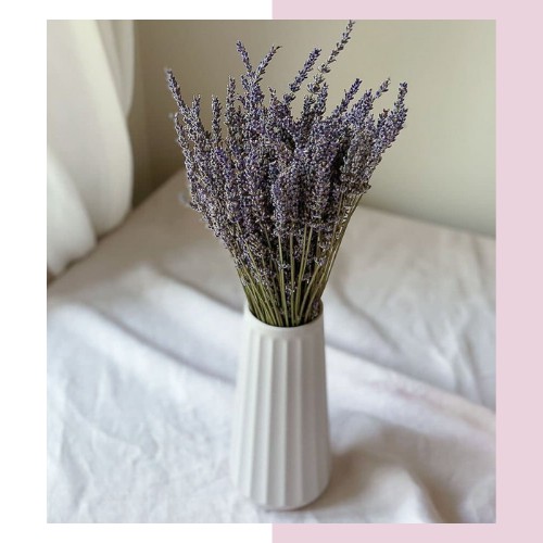 [CỰC XINH] Hoa LAVENDER khô 🌻FREESHIP🌻Trang trí, Cắm lọ thủy tinh phong cách Bắc Âu