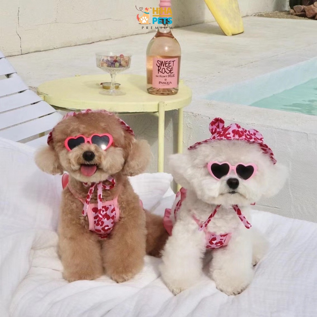 Áo Bơi Cho Chó Mèo Có Nón Quần Áo Bơi Cho Thú Cưng Hàn Quốc Thời Trang Cao Cấp Hiha Pets.